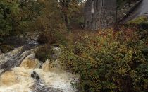 Islay Woollen Mill